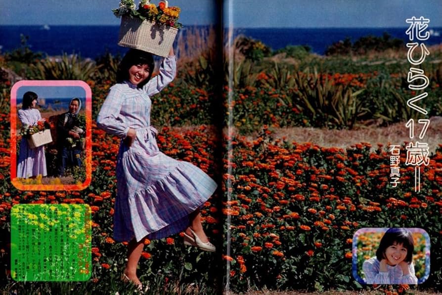 平凡パンチ 1978-1979 昭和53-54 24冊セット 水着 アイドル Amazon.co.jp: S3000 平凡 1978年 昭和53年5月号 水着ビキニ
